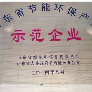 山東省節(jié)能環(huán)保產(chǎn)業(yè)示范企業(yè)